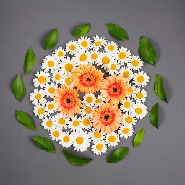 円で組織された花と葉