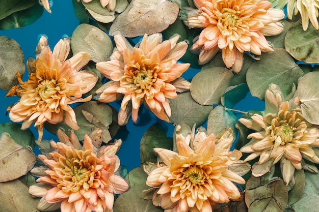 Flowers and leaves in water