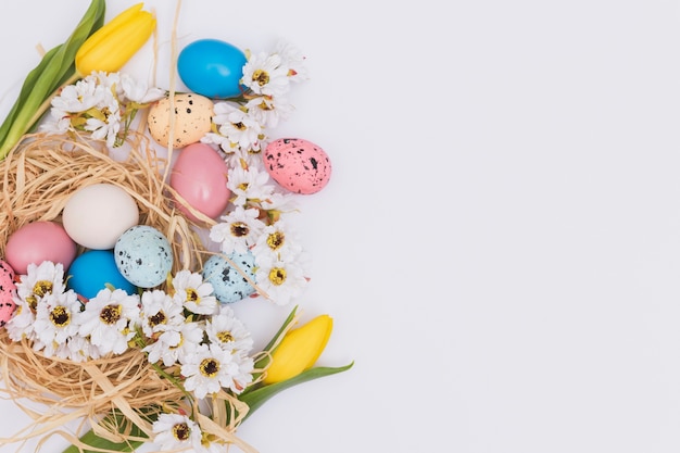 Free photo flowers near eggs and nest