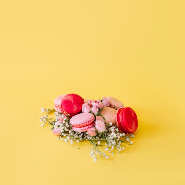 Flowers near heap of macaroons