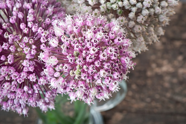 古い木製のテーブルの花タマネギ