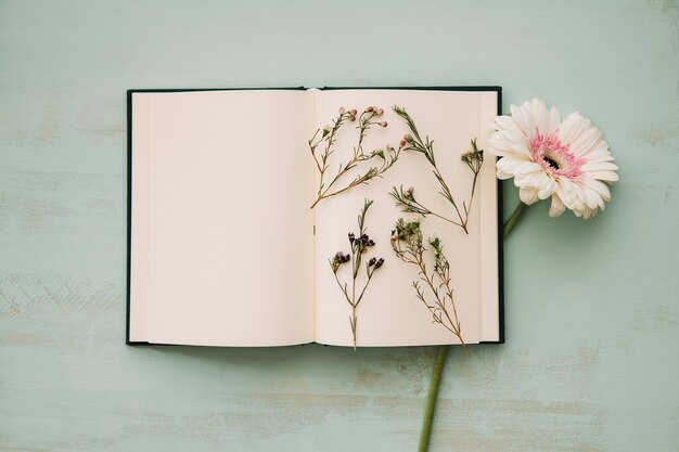 ノートのページの花