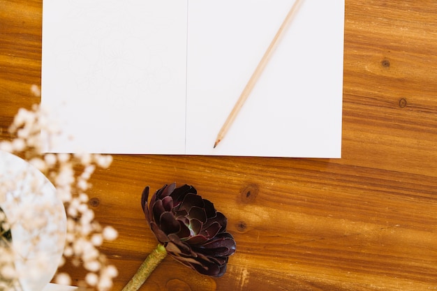 Flowers and paper