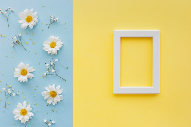 Flowers; petal and pollen with white blank picture frame on dual backdrop