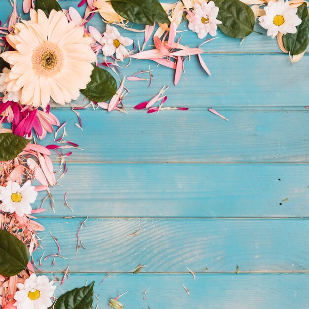 Flowers and petals with leaves