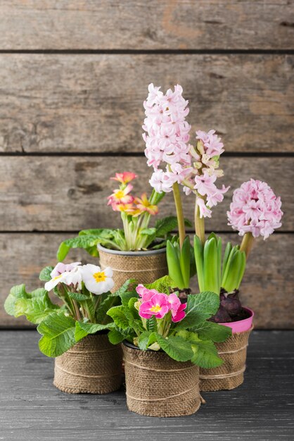 Flowers pots on table