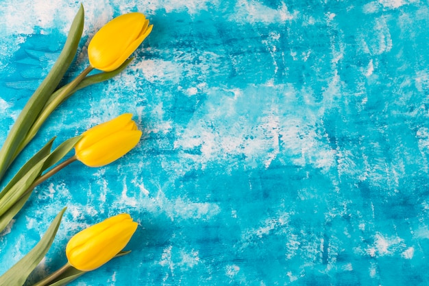 Flowers in row on grunge blue background 