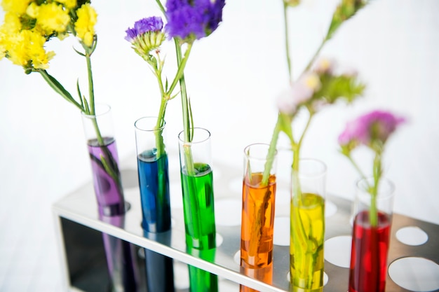 Free photo flowers in a row of testubes with different colored water decoration and science experiment concept