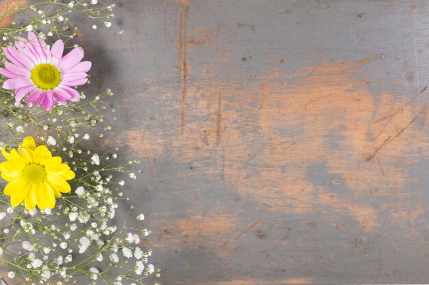 Flowers on shabby wooden surface