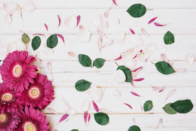 Flowers and small petals arrangement