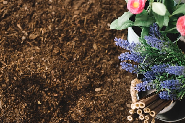 Flowers on soil and space on left