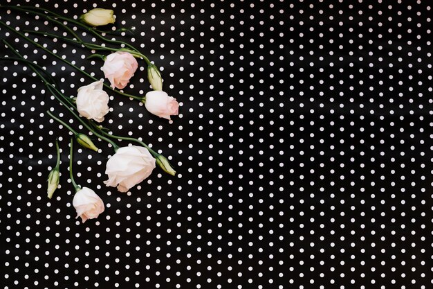 Flowers on spotted background