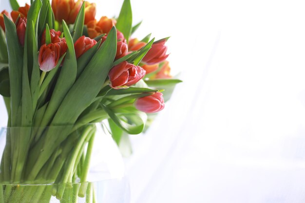 Цветы, весенние праздники и концепция домашнего декора - букет красивых тюльпанов, цветочный фон
