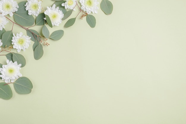 Flowers and twigs on light background