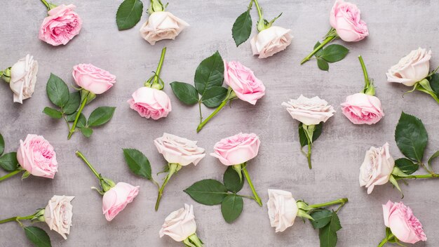 Цветочная композиция на день святого валентина. рама из розовой розы на сером фоне. плоская планировка, вид сверху, копия пространства.