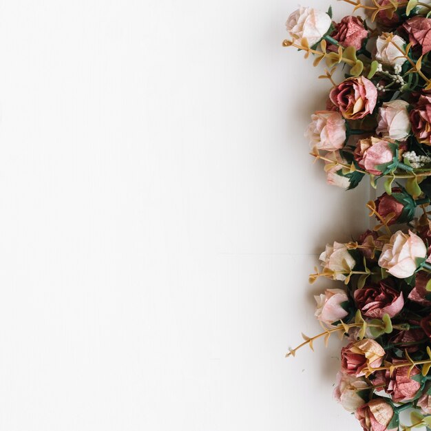 Flowers over white background