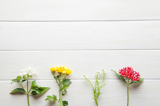 Flowers on white tabletop