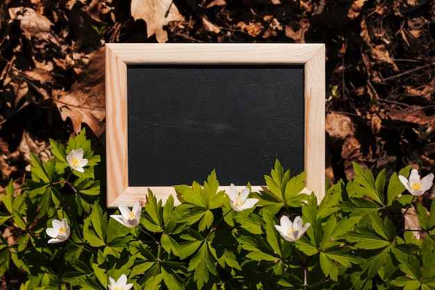 Free photo flowers with a blackboard