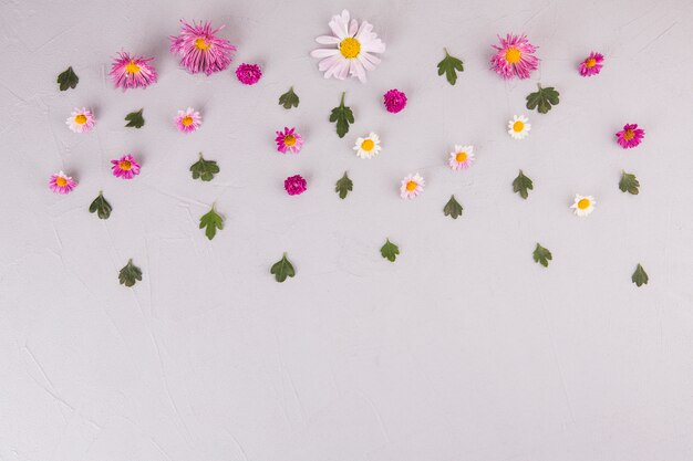 Flowers with green leaves scattered on light table