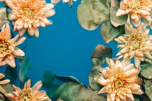 Flowers with leaves in blue water with copy space