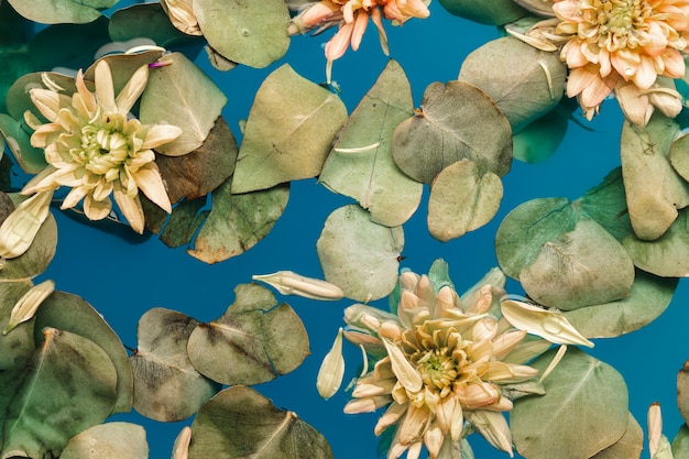 Flowers with leaves in blue water