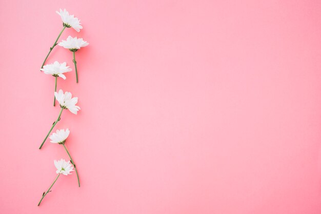 Flowers with space on right