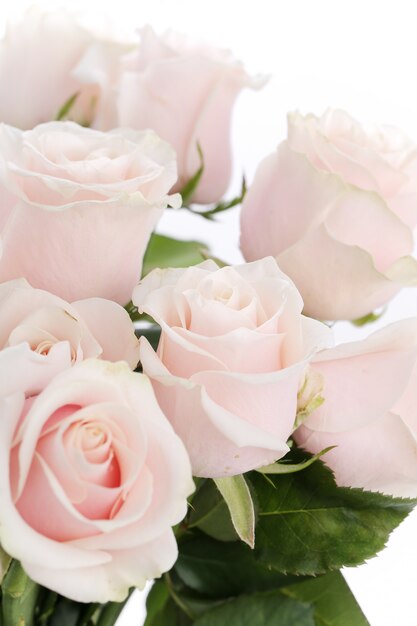 Free Photo flowers