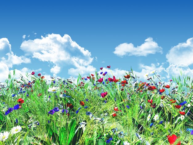Flowery landscape with a blue sky