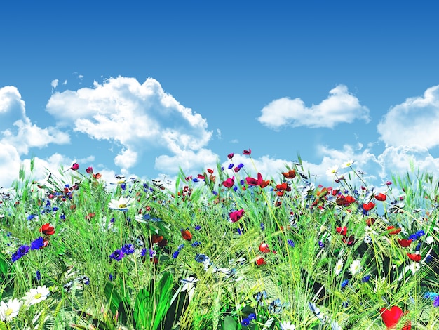 Flowery landscape with a blue sky