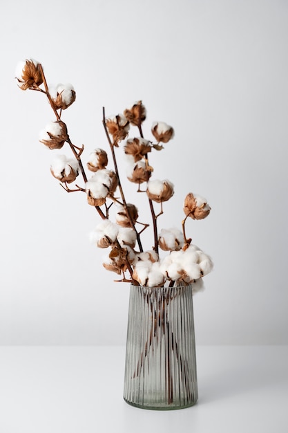 Бесплатное фото Пушистое хлопковое растение в вазе, используемое в декоре интерьера