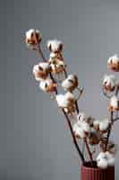 Foto gratuita pianta di cotone soffice in vaso utilizzata nella decorazione d'interni