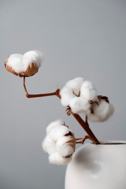 Free photo fluffy cotton plant in vase used in interior decor