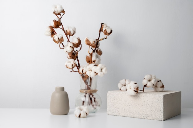 Fluffy cotton plant in vase used in interior decor