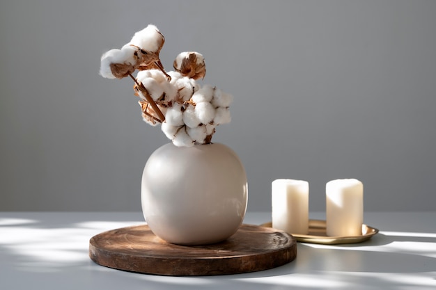 Fluffy cotton plant in vase used in interior decor