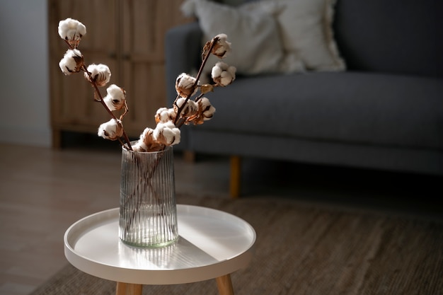 Fluffy cotton plant in vase used in interior decor