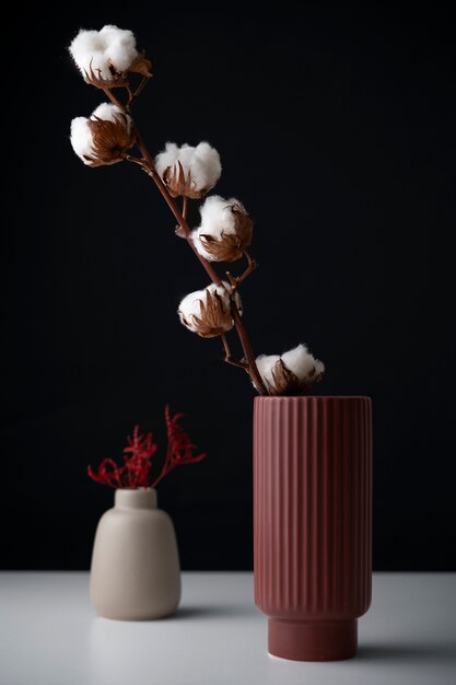 Fluffy cotton plant in vase used in interior decor