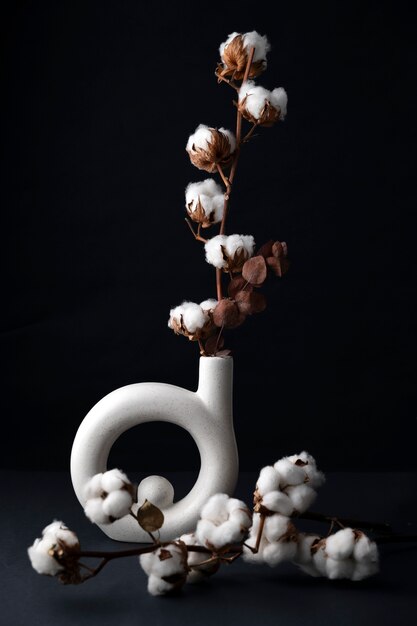 Fluffy cotton plant in vase used in interior decor