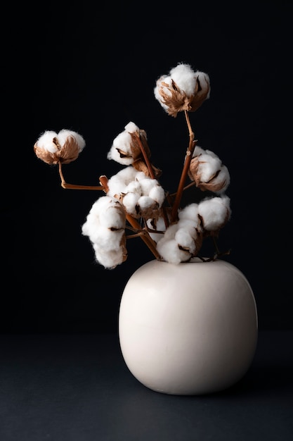 Fluffy cotton plant in vase used in interior decor