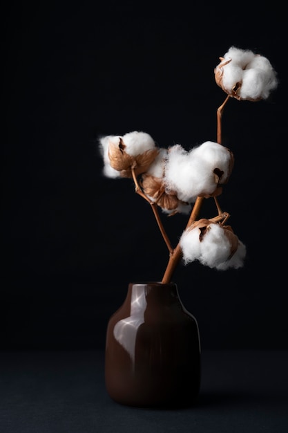 Fluffy cotton plant in vase used in interior decor