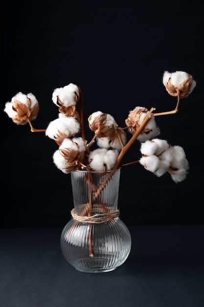 Fluffy cotton plant in vase used in interior decor