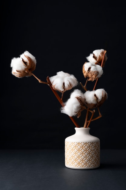 Fluffy cotton plant in vase used in interior decor