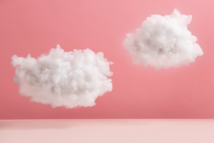 Free Photo fluffy flowers with pink background