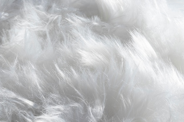 White Fur Texture Images – Browse 115,432 Stock Photos, Vectors, and Video