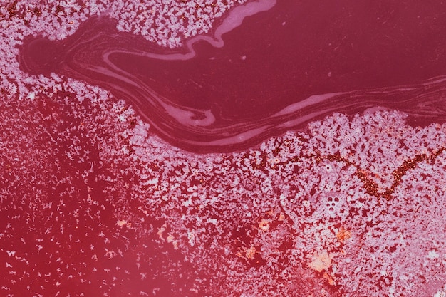 Foto gratuita schiuma sull'acqua del vino