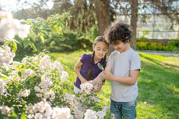 Foto gratuita ragazzo concentrato che indaga sull'infiorescenza con una lente d'ingrandimento in presenza del suo amico curioso