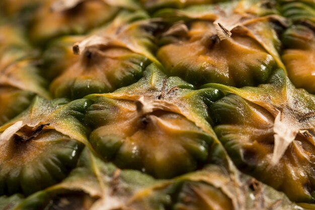 Focused close-up pineapple husk