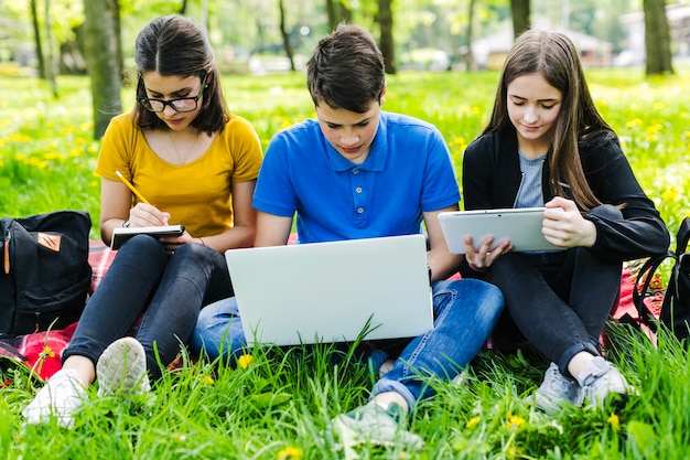 Focused friends studying in the park