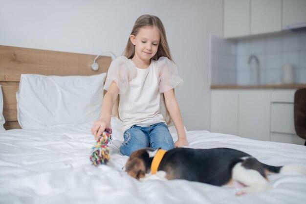 Focused little girl showing a tug rope toy to her puppy lying on the bed