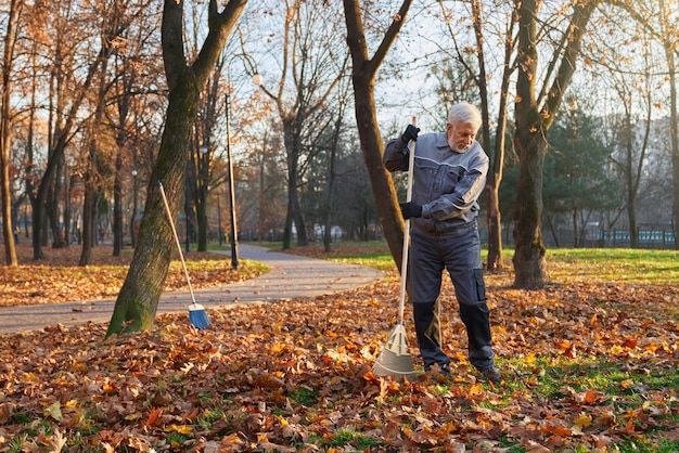 Free photo focused senior male worker using big rake to gather fallen leaves in pile front view of bearded man