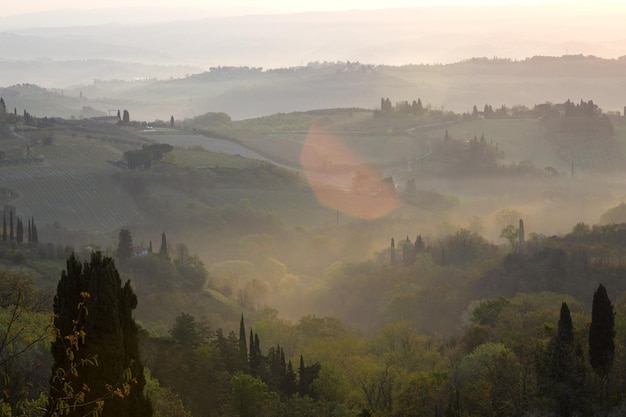 霧と典型的なトスカーナの風景-丘の上の別荘、ヒノキの路地、ブドウ園のある谷、シエナ県の景色。イタリア、トスカーナ